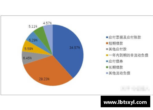 体育明星的无形资产价值与市场影响力分析