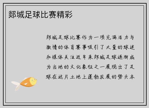 郯城足球比赛精彩